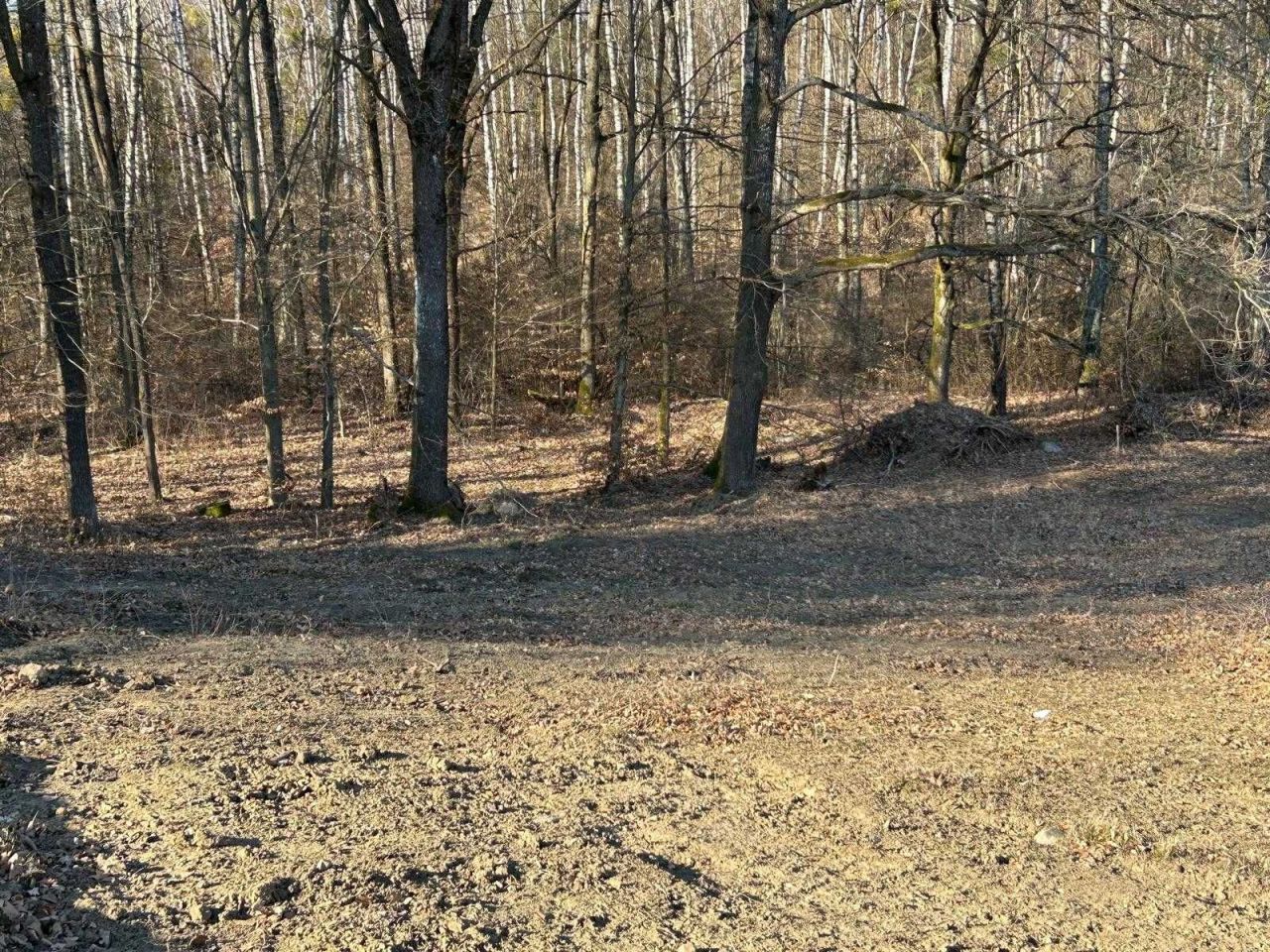 Działka budowlana Gwieździn. Zdjęcie 2