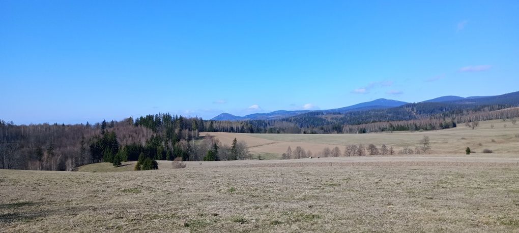 Działka rolna Jodłów. Zdjęcie 1