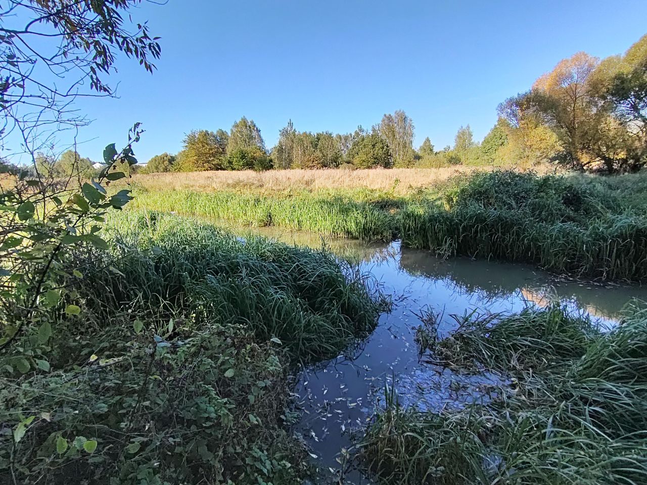 Działka inna Skarżysko-Kamienna Podemłynek, ul. Piękna. Zdjęcie 4
