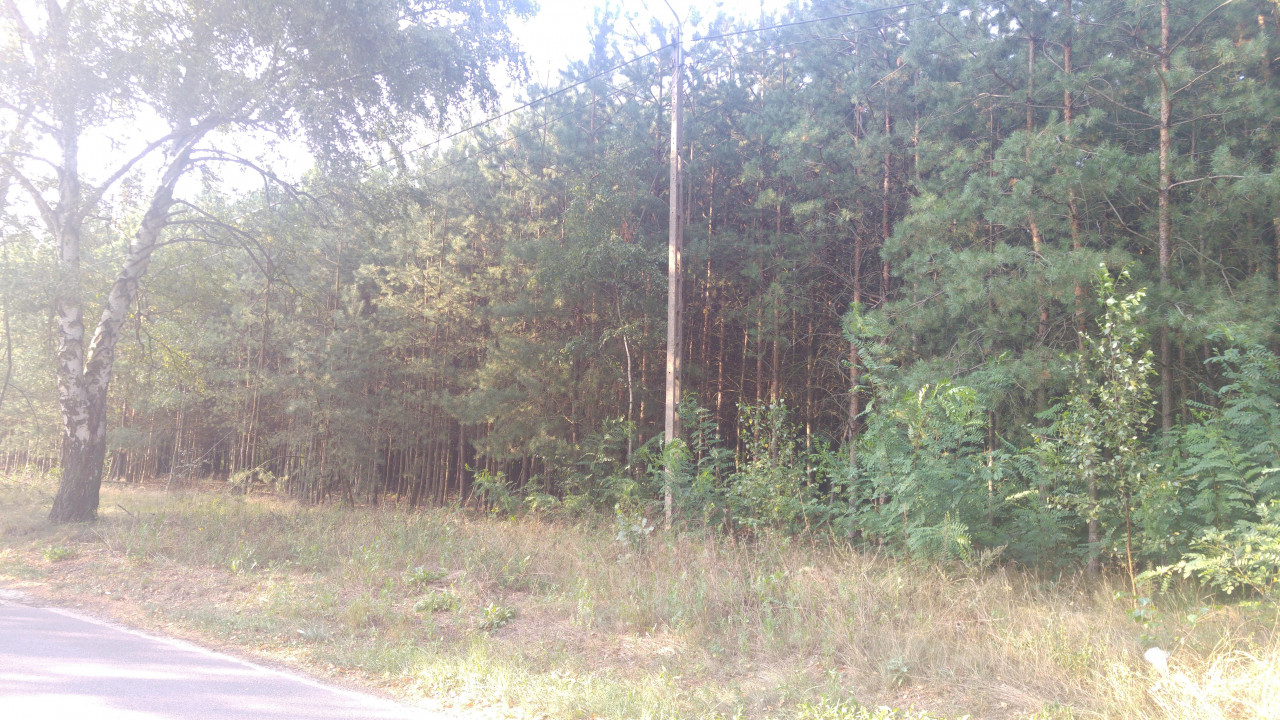 Działka budowlana Lipiny, ul. Bankowa. Zdjęcie 8