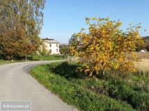 Działka budowlana Bielowicko. Zdjęcie 4