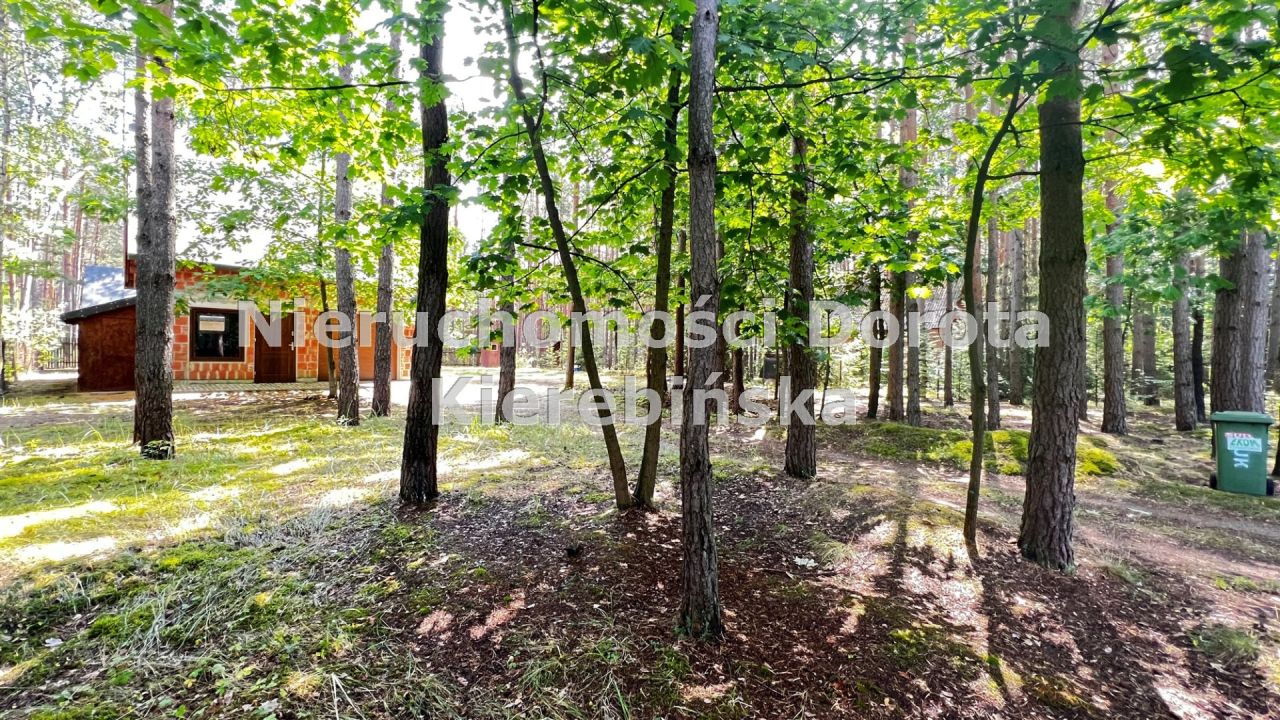 dom wolnostojący, 2 pokoje Fryszerka. Zdjęcie 20