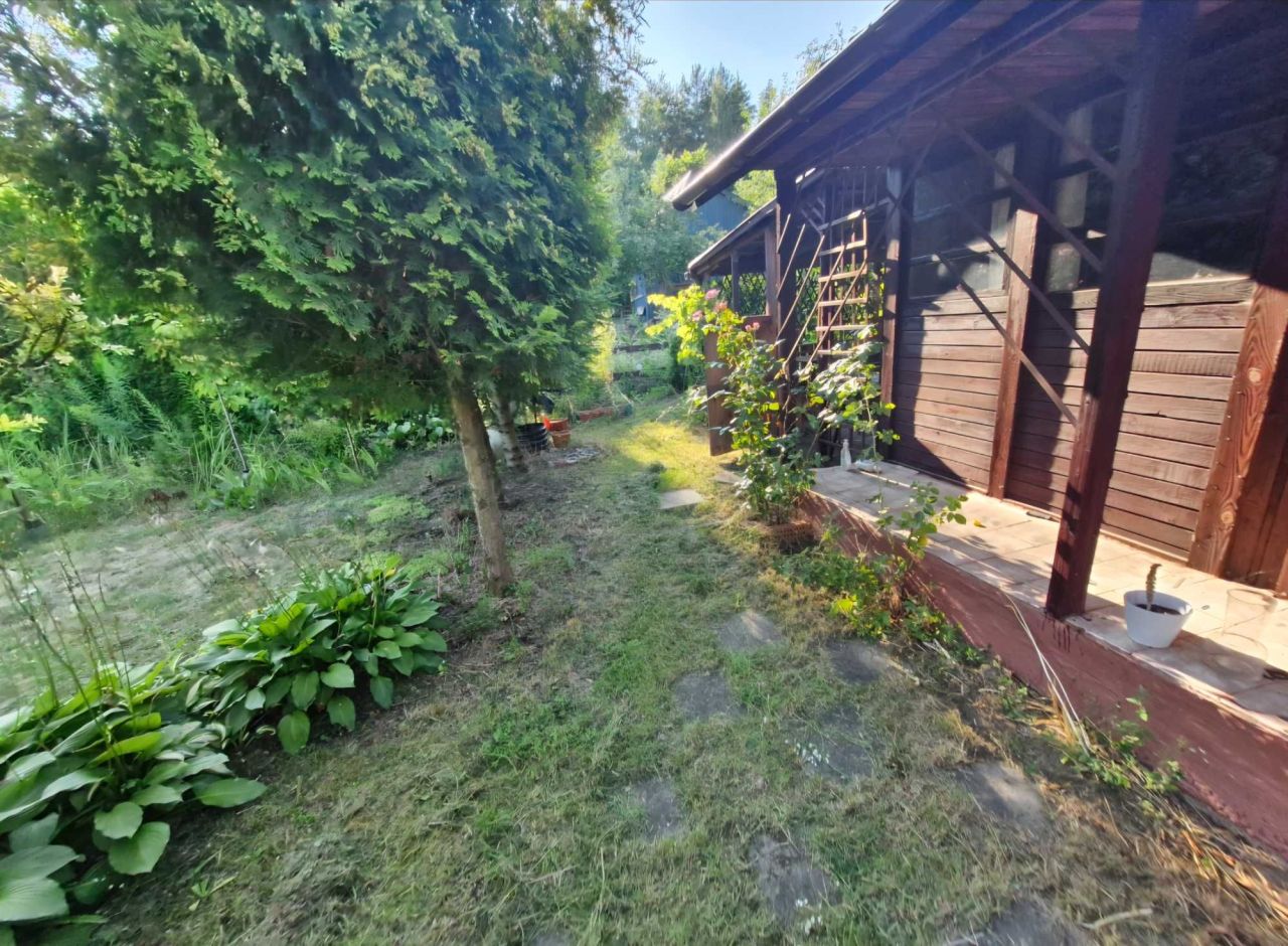 Działka rod Białystok Jaroszówka, Gwiazdkowa 2. Zdjęcie 5