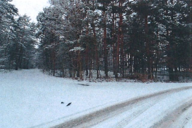Działka rolna Śladów, brak. Zdjęcie 17