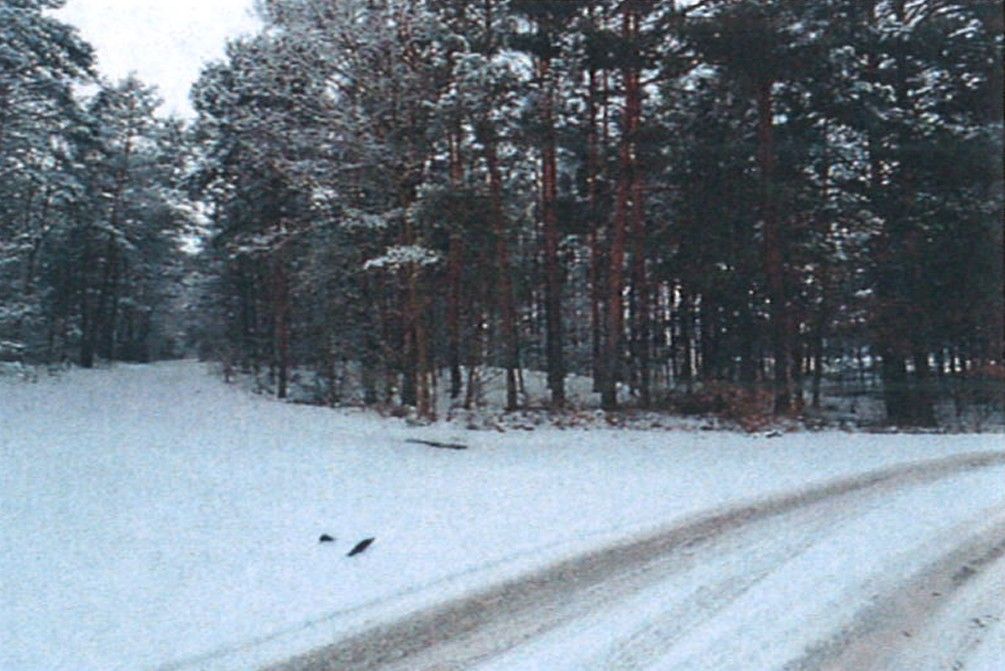 Działka rolna Śladów, brak. Zdjęcie 17