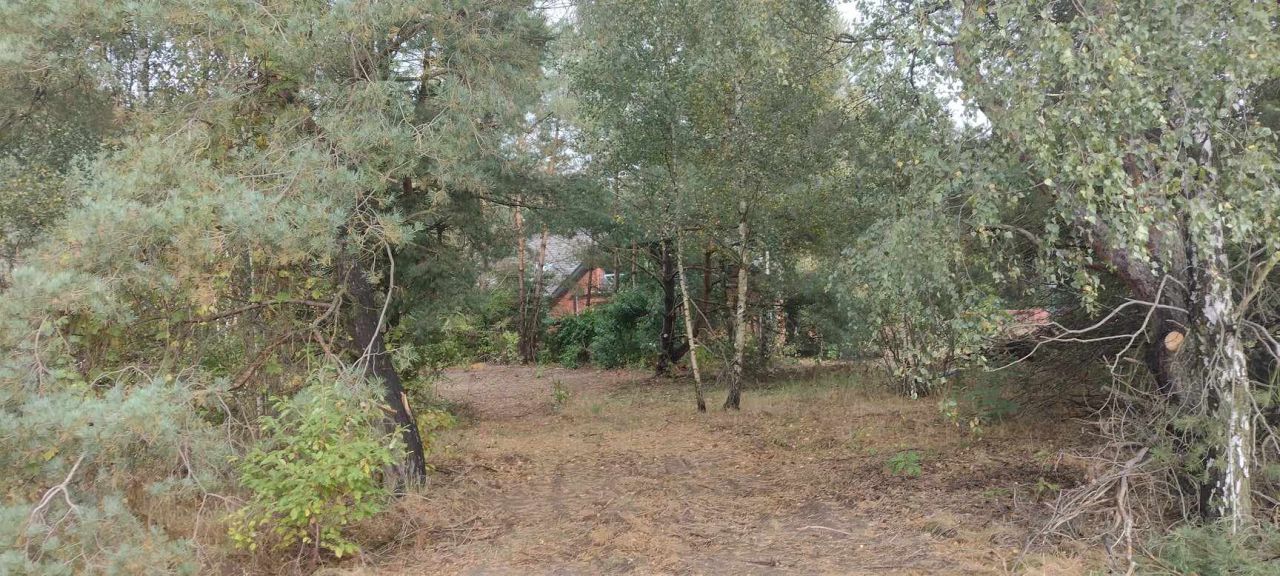 Działka budowlana Skórka, ul. Skórka Wybudowanie. Zdjęcie 3