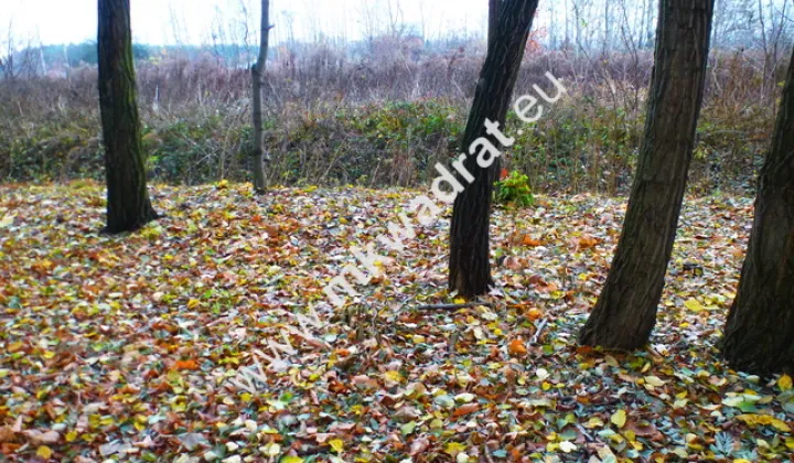 Działka inwestycyjna Otrębusy