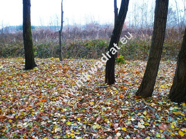 Działka inwestycyjna Otrębusy. Zdjęcie 1