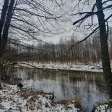 Działka rolno-budowlana Golce. Zdjęcie 4