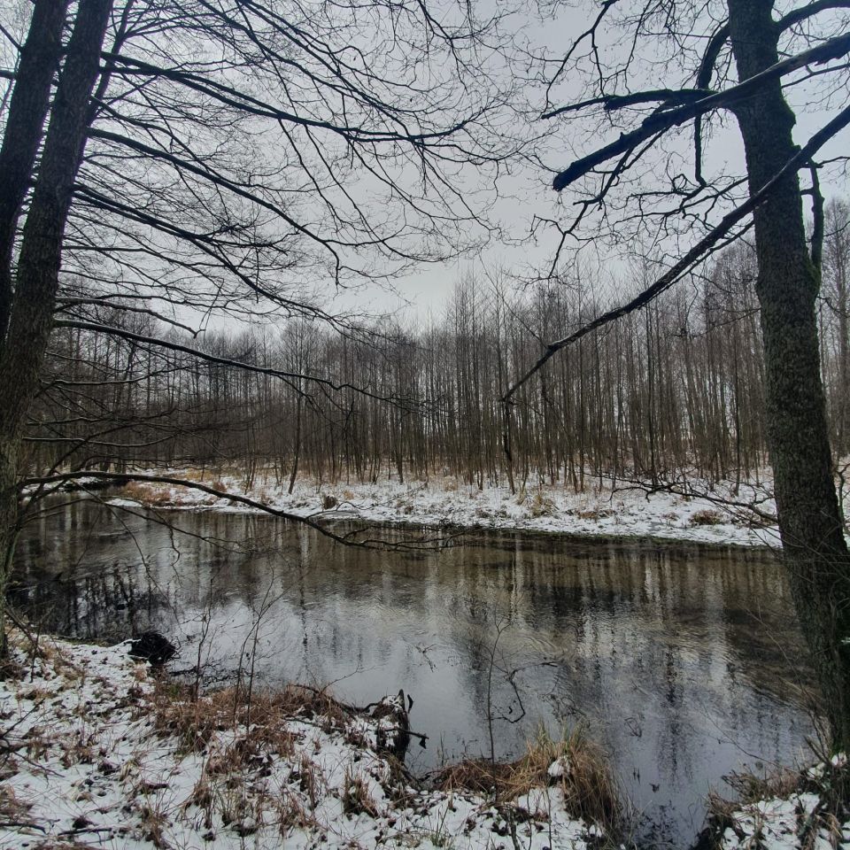 Działka rolno-budowlana Golce. Zdjęcie 5