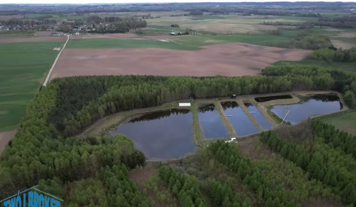 Nieruchomość komercyjna Bytów