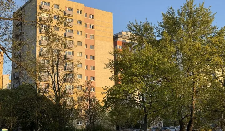 Mieszkanie 2-pokojowe Poznań Grunwald, ul. Macieja Palacza