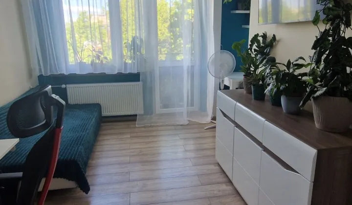 Mieszkanie 1-pokojowe Świdnik Centrum