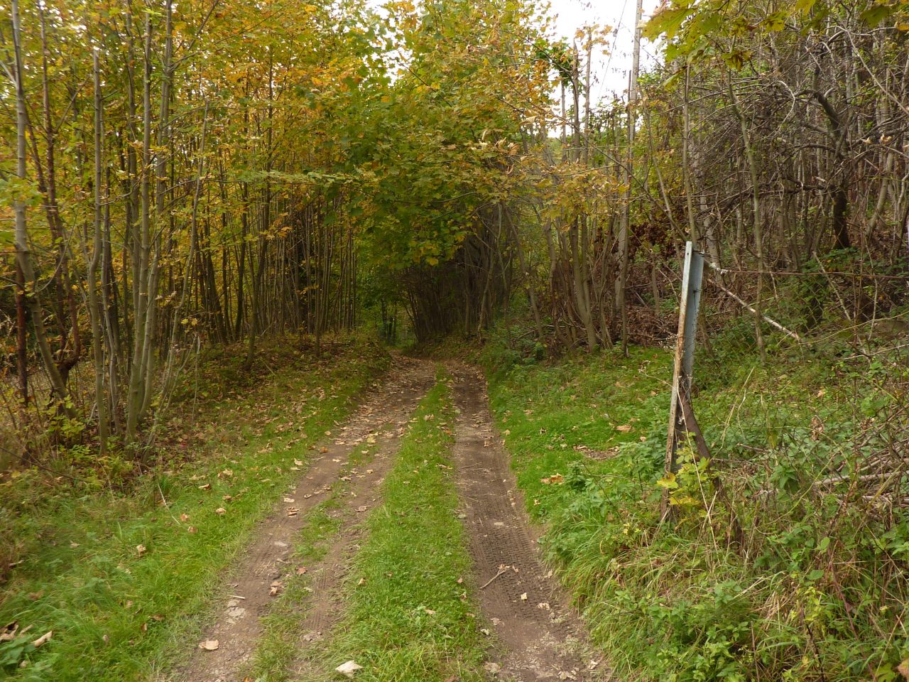 Działka rolna Pewel Wielka Garleje. Zdjęcie 29