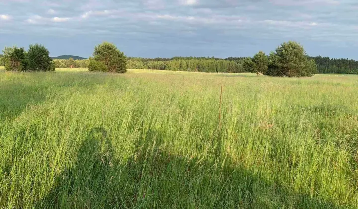 Działka budowlana Bolmin