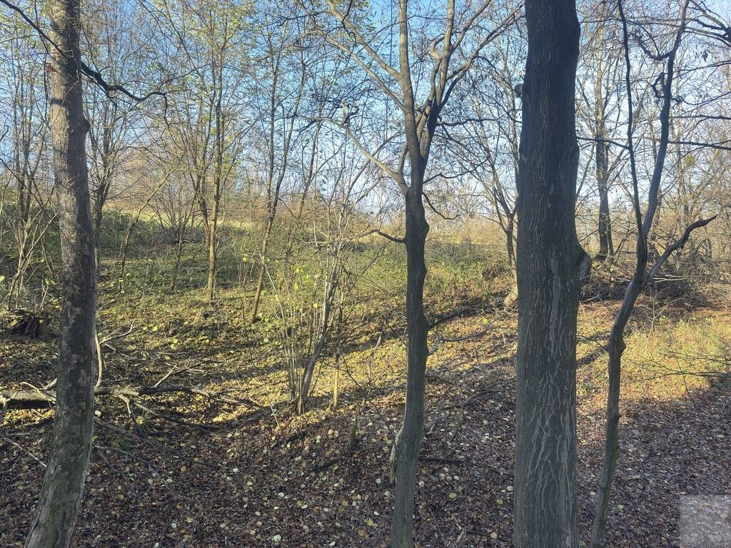 Działka leśna Przemyśl Kruhel Wielki, ul. Łowiecka. Zdjęcie 9