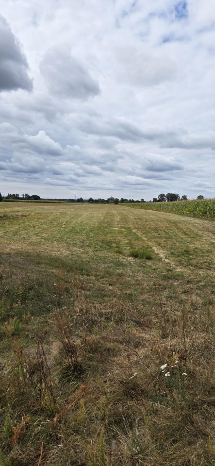 Działka rolna Pożarów. Zdjęcie 3