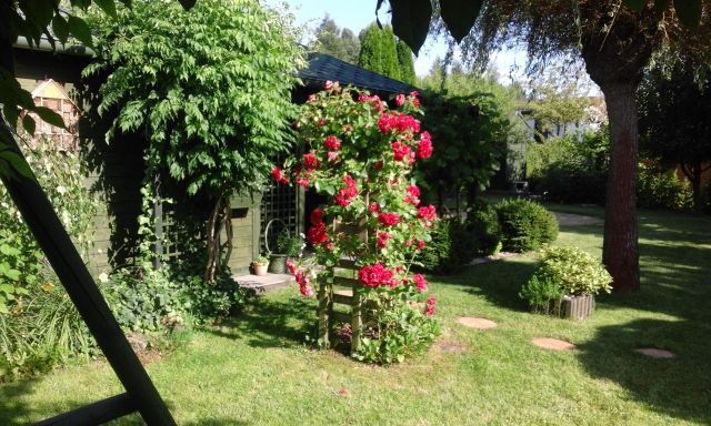 Działka rekreacyjna Blachownia, ul. Miodowa. Zdjęcie 1