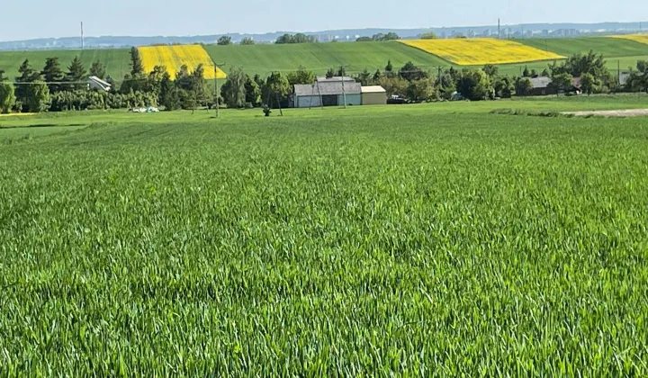 Działka rolno-budowlana Udrycze-Kolonia