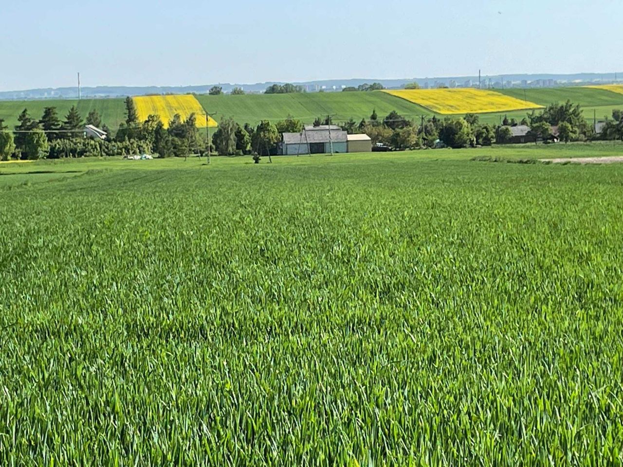 Działka rolno-budowlana Udrycze-Kolonia