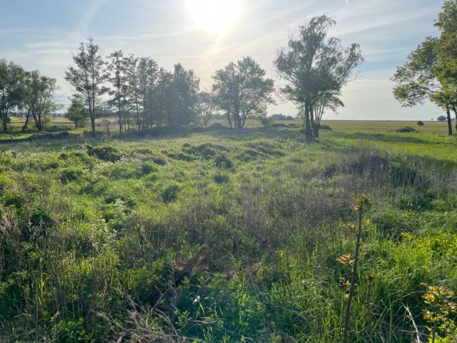 Działka budowlana Gąsierzyno. Zdjęcie 1