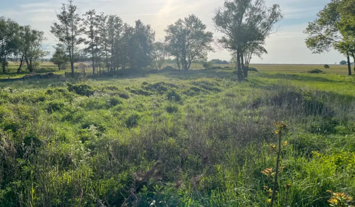 Działka budowlana Gąsierzyno