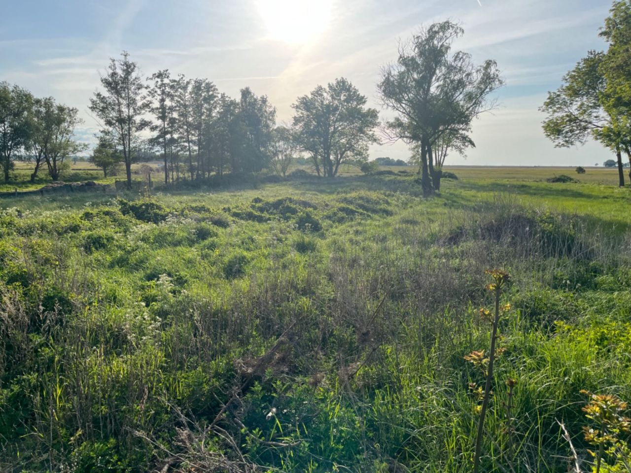 Działka budowlana Gąsierzyno