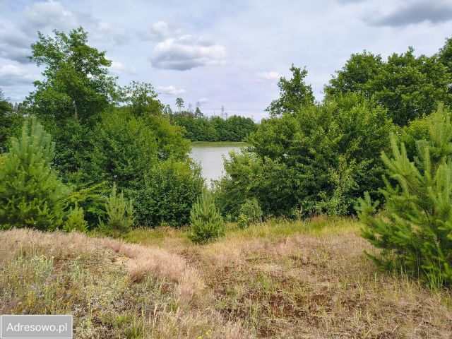 Działka rolna Leśno. Zdjęcie 1