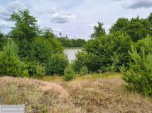 Działka rolna Leśno