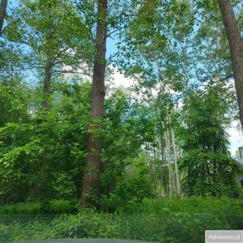 Działka budowlana Otwock, ul. Stefana Żeromskiego. Zdjęcie 1