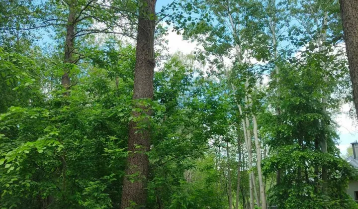 Działka budowlana Otwock, ul. Stefana Żeromskiego