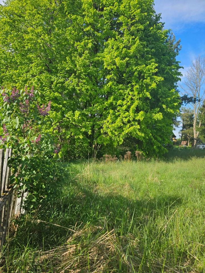 Działka rekreacyjna Lejno. Zdjęcie 2