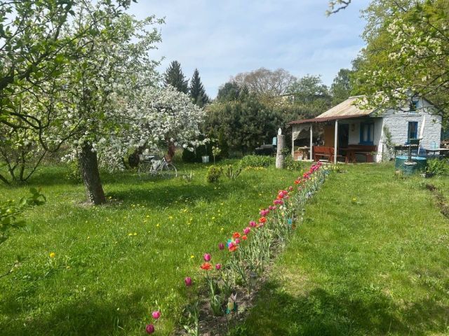 Działka rekreacyjna Wrocław Psie Pole, ul. Grudziądzka. Zdjęcie 1