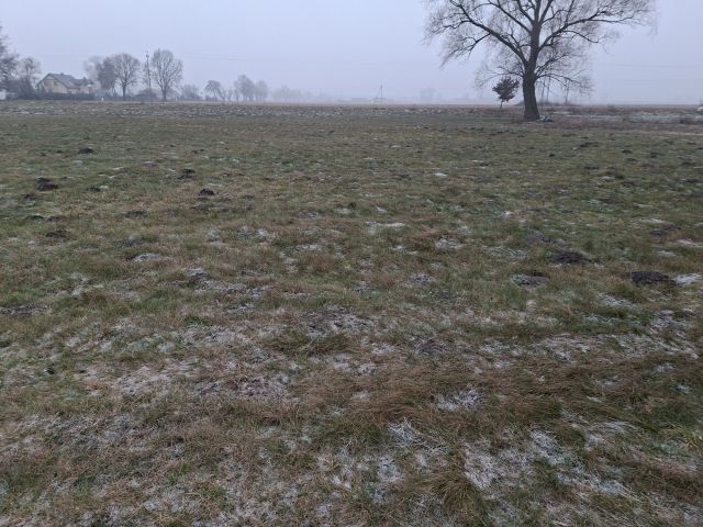 Działka budowlana Liszkowice. Zdjęcie 1