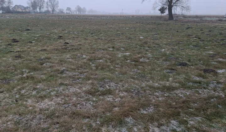 Działka budowlana Liszkowice