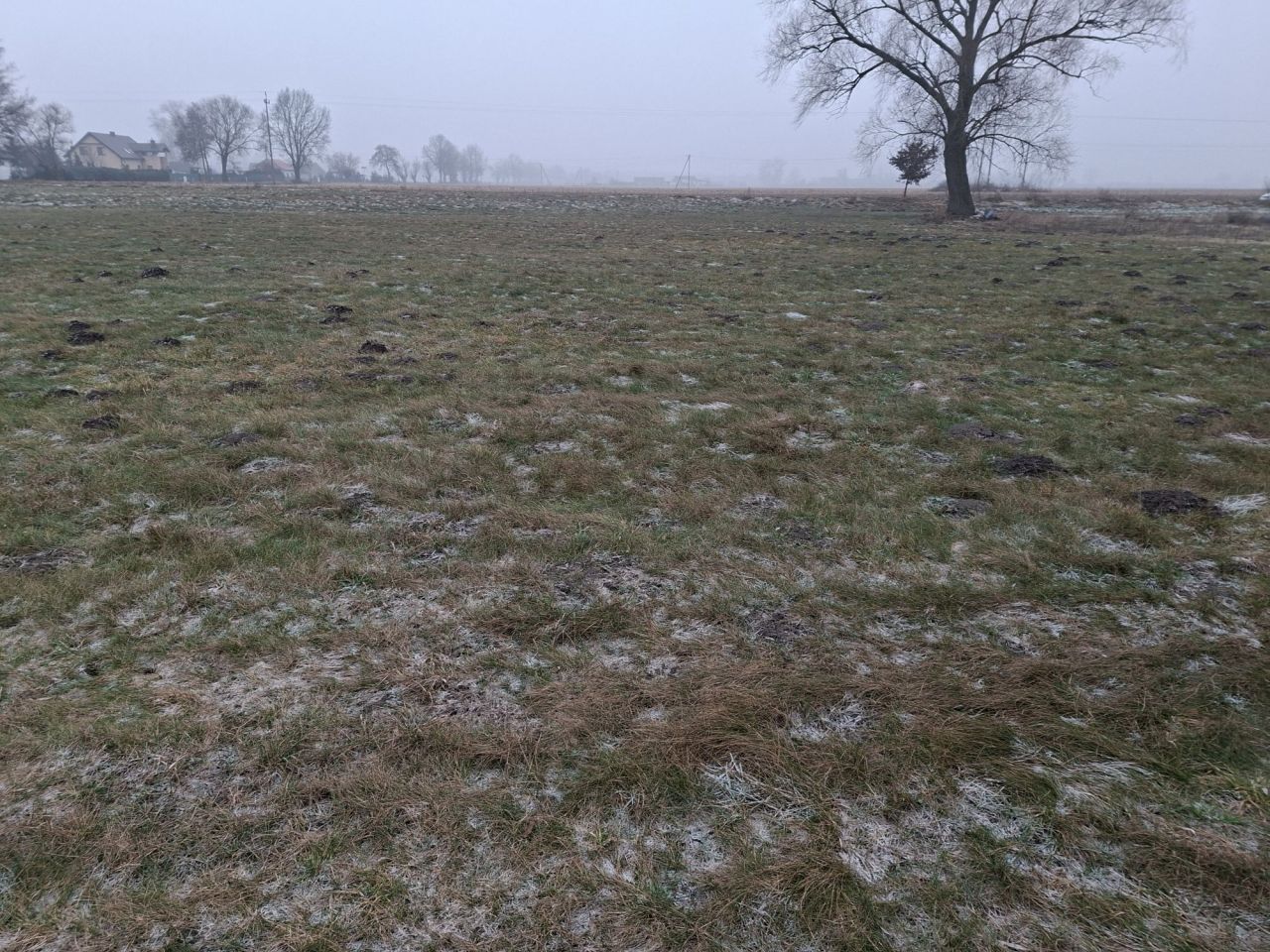 Działka budowlana Liszkowice