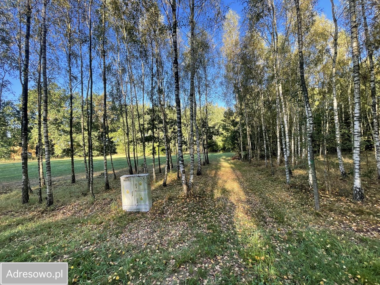 Działka budowlana Sadek, ul. Jesionowa. Zdjęcie 9
