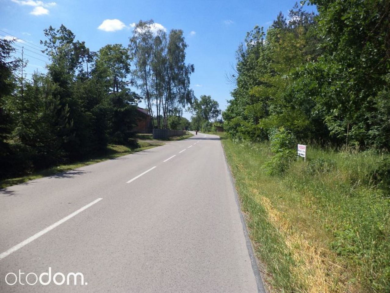 Działka siedliskowa Rędziny. Zdjęcie 16