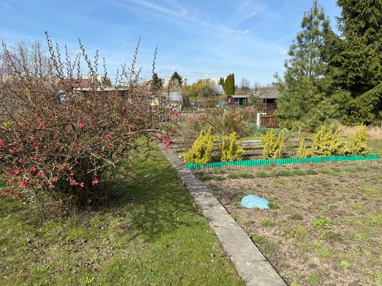 Działka rod Tarnobrzeg. Zdjęcie 3