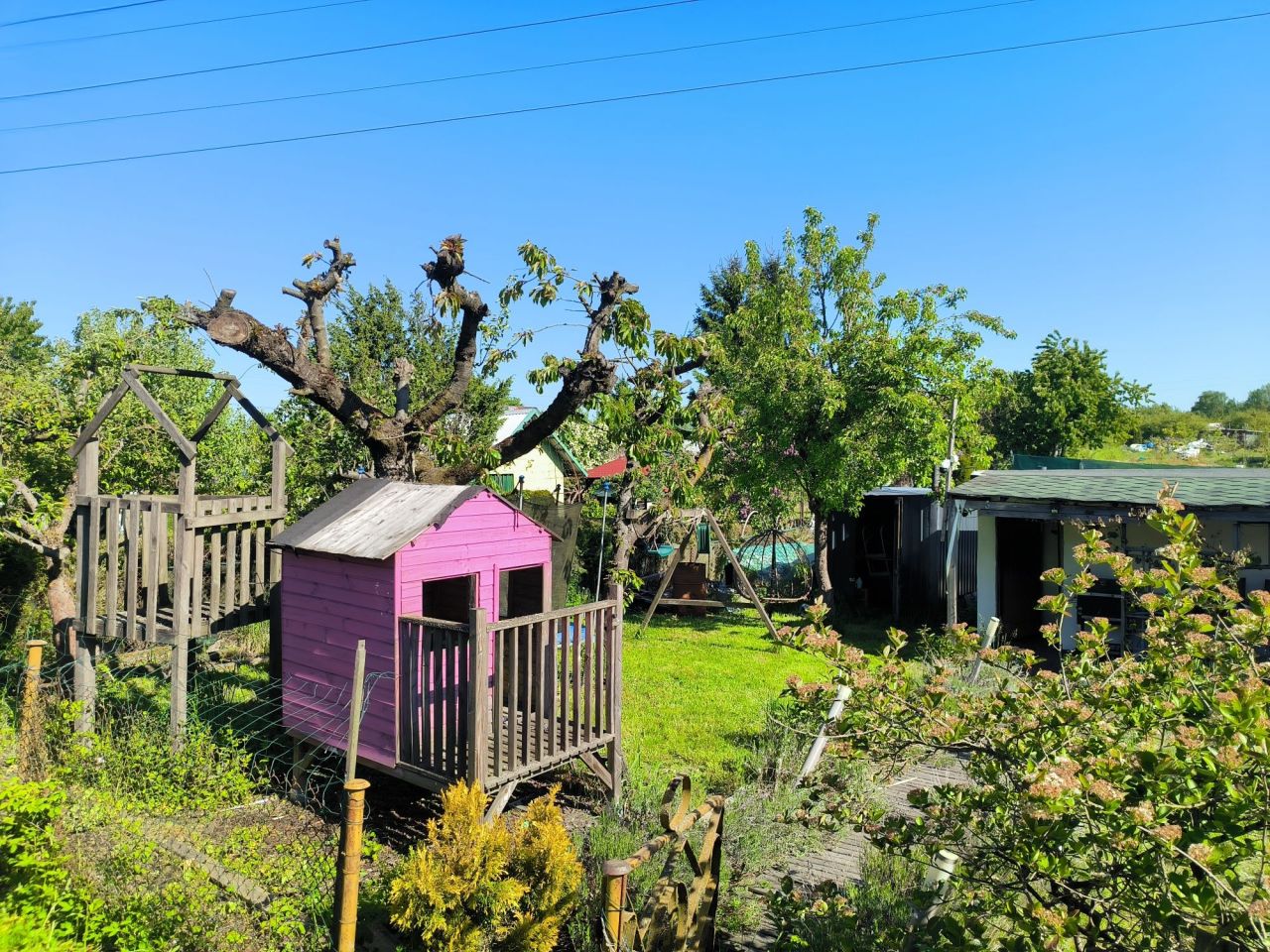 Działka rod Szczecin Niebuszewo, ul. Policka. Zdjęcie 6