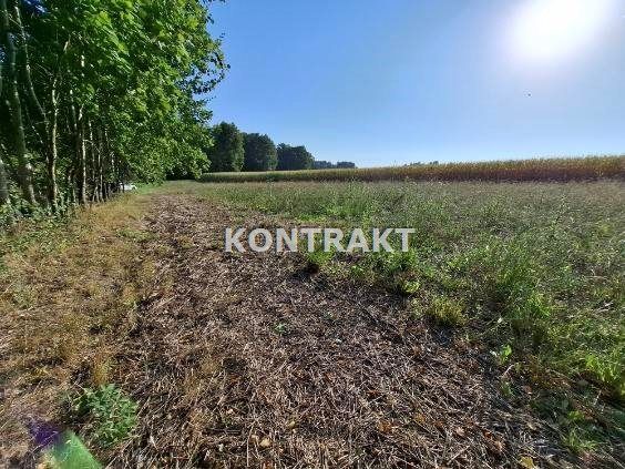 Działka Głębowice, ul. Oświęcimska. Zdjęcie 1