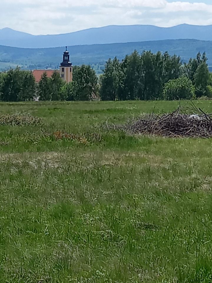Działka rolno-budowlana Grudza. Zdjęcie 5