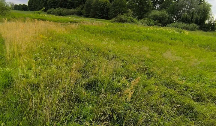 Działka rolna Sarny