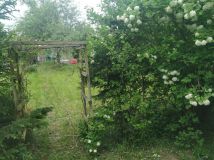 Działka rod Toruń, ul. Stanisława Przybyszewskiego. Zdjęcie 2