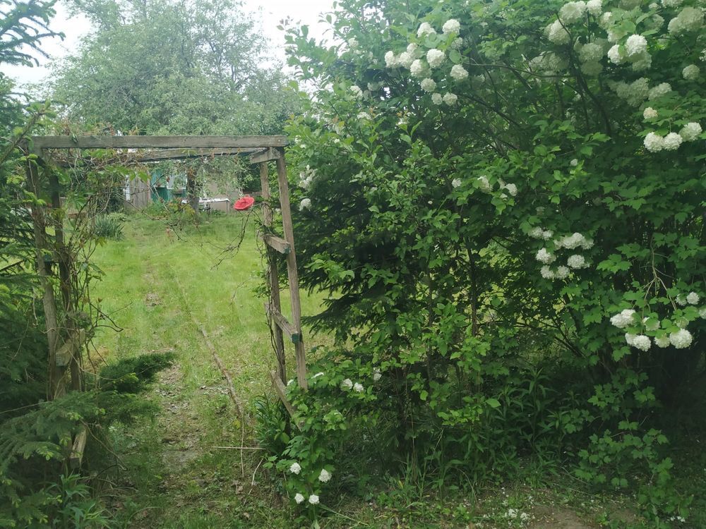 Działka rod Toruń, ul. Stanisława Przybyszewskiego. Zdjęcie 3