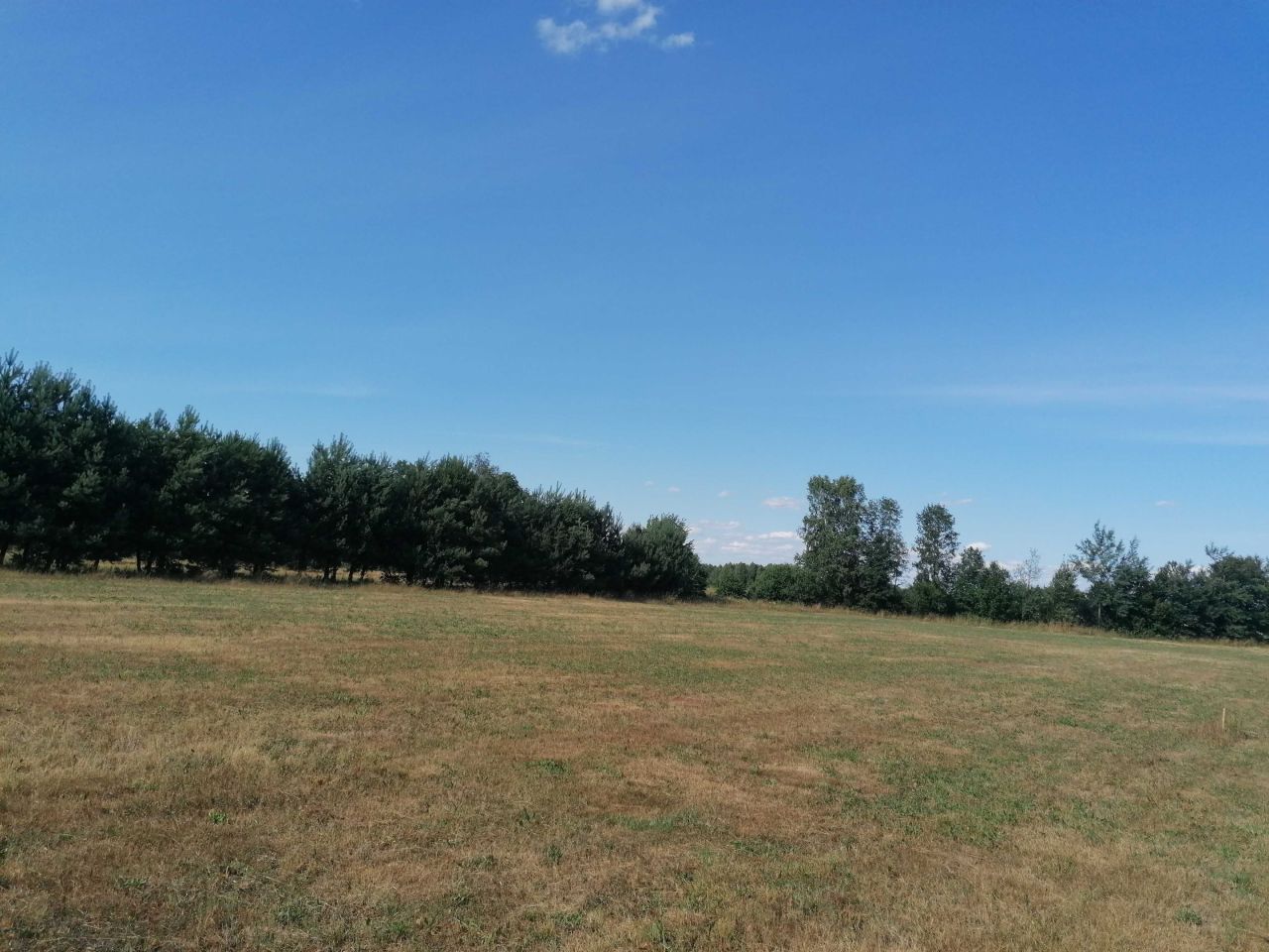 Działka rolno-budowlana Brzozówka. Zdjęcie 3