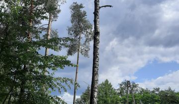 Działka budowlana Celestynów, ul. Narutowicza
