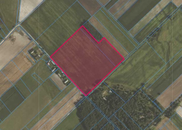 Działka rolna Kostomłoty. Zdjęcie 1