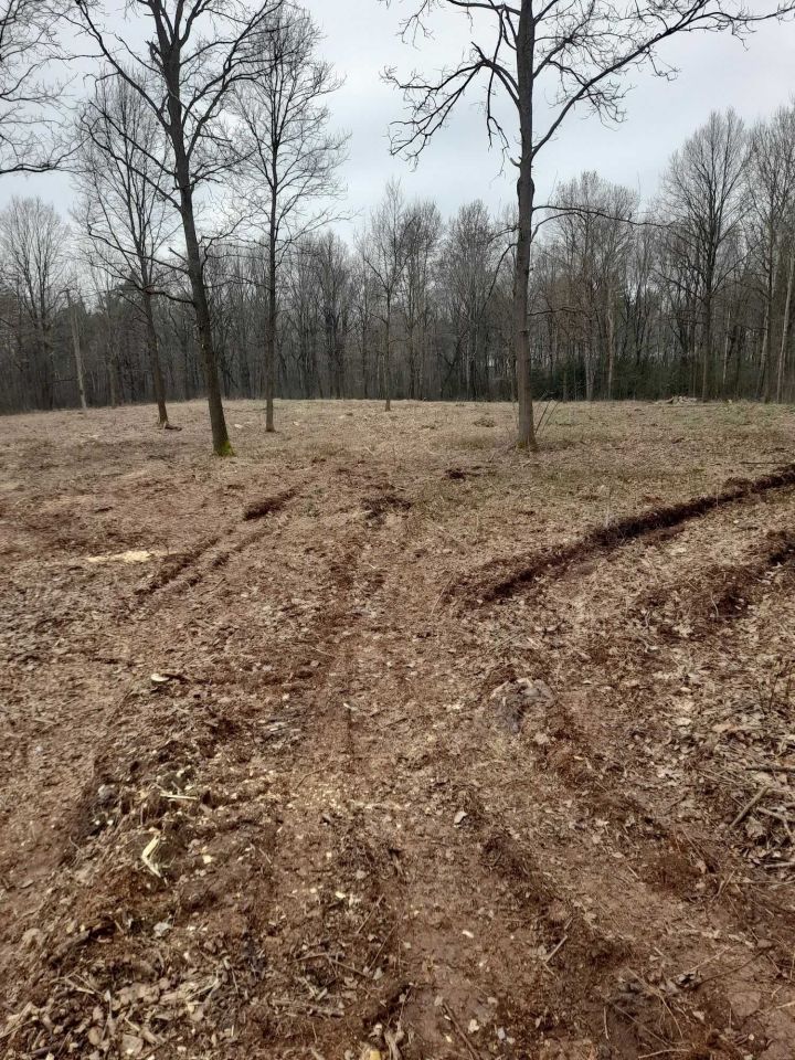 Działka rolno-budowlana Babsk. Zdjęcie 3