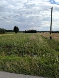Działka rolno-budowlana Budziszewice, ul. Osiedlowa. Zdjęcie 3